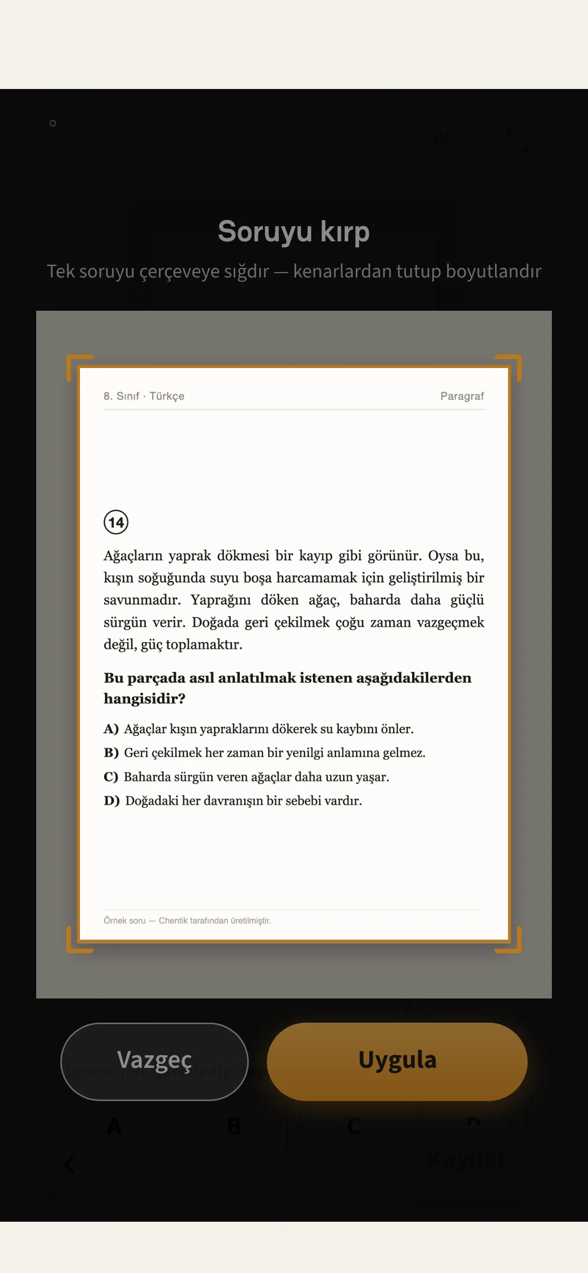 Soru fotoğrafını kırpma adımı: paragraf sorusu çerçevenin ortasında